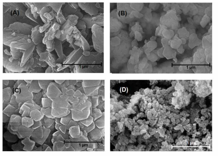 SEM images of the zeolite catalysts: (A) MOR, (B) MFI, (C) FAU, (D) BEA