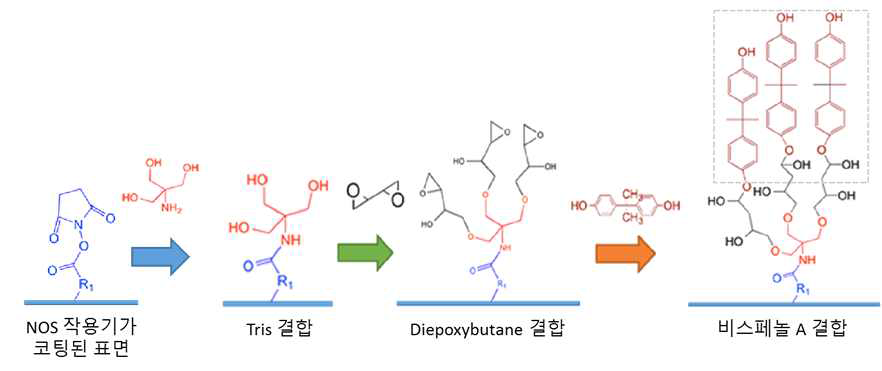 비스페놀 A를 DNA-BIND® 96 well plate상에 고정시키는 과정의 모식도. Tris와 Diepoxybutane을 링커로 이용하여 NOS 작용기가 코팅된 표면 위에 최종적으로 비스페놀 A를 고정함