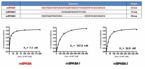 비스페놀 A에 결합하는 압타머의 결합력(Kd) 분석 : 상기 선정한 압타머의 5‘지역에 Biotin 물질을 라벨링하여 결합력 분석함. 압타머의 결합력(Kd)은 나노몰라 농도(nM) 수준으로 비스페놀 A에 결합하는 것을 확인함