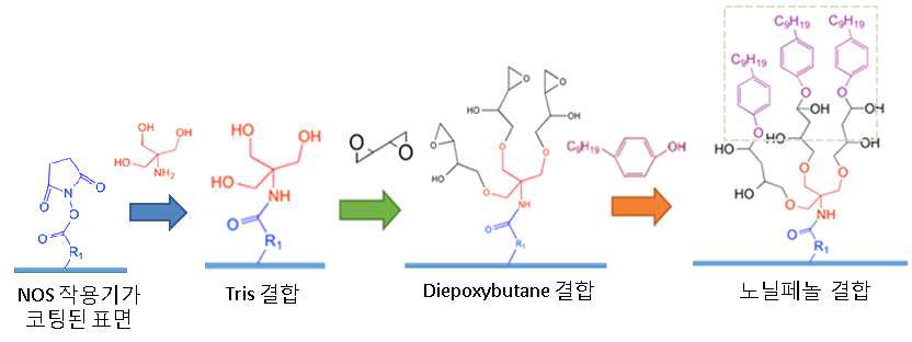 비스페놀 A를 DNA-BIND® 96 well plate상에 고정시키는 과정의 모식도. Tris와 Diepoxybutane을 링커로 이용하여 NOS 작용기가 코팅된 표면 위에 최종적으로 노닐페놀을 고정함