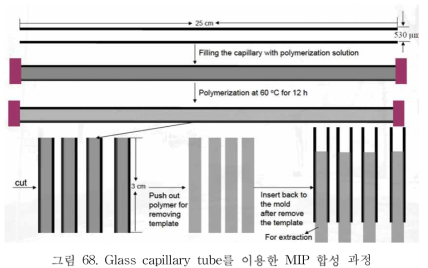 Glass capillary tube를 이용한 MIP 합성 과정