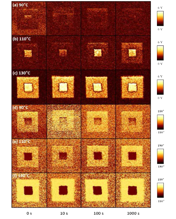 다양한 폴리머 박막의 중성자 조사 시간에 따른 (a)-(c) PFM 진폭, (d)-(f) 위상 이미지