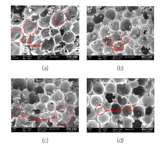 Microstructure of specimens at different irradiation doses