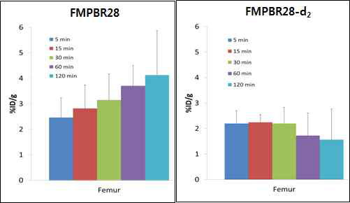 FMPBR28과 FMPBF28-d 182의 뼈섭취 분포