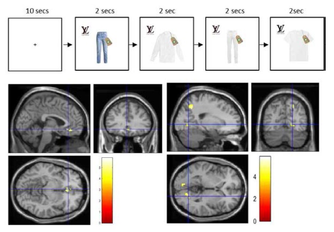 자극물 및 fMRI 측정 결과