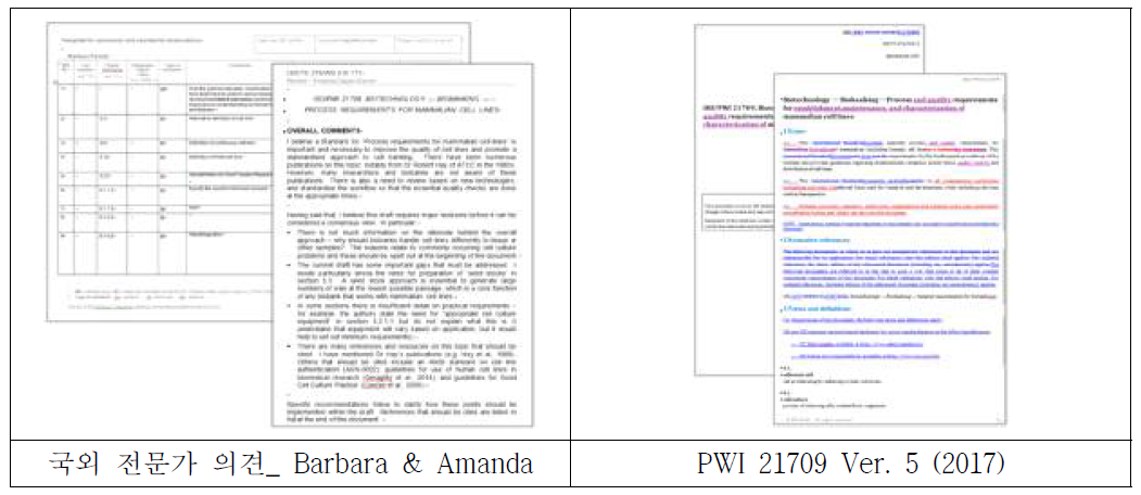 작업반 전문가 코멘트 문건 및 PWI 21709 버전 5 문건