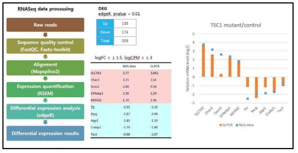 RNA-seq 분석과 Quantitative RT PCR 결과