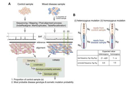 VIRMID algorithm의 모식도 (Genome Biology 2013)