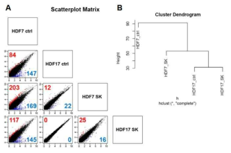 다양한 조건에서 얻은 HDF의 유전자 발현양 비교. (A) 조건별 유전자 산포도. (B) 발현양을 기초로한 계통도