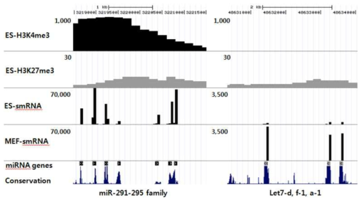 UCSC genome browser를 통한 small RNA의 발현 패턴, 위치 및 히스톤 변형과의 비교