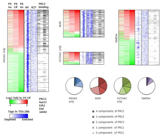 조건 별 유전자 발현 변화 패턴 및 배아줄기세포에서 히스톤 변형 형태와 PRC 구성요소들의 binding 패턴. Heat map에서 가장 오른쪽은 유전자 발현 변화를, 가운데는 배아줄기세포에서 히스톤 변형 형태를, 가장 왼쪽은 PRC2 binding 여부를 나타냄. 파이 그래프는 각 유전자 그룹 별 PRC2 binding 된 유전자의 개수를 나타냄