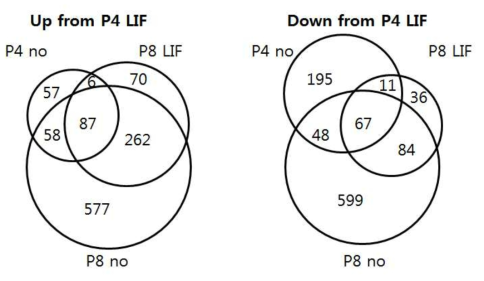 P4 LIF 조건과 비교하여 각 조건에서 변화한 유전자들 간의 벤다이어그램