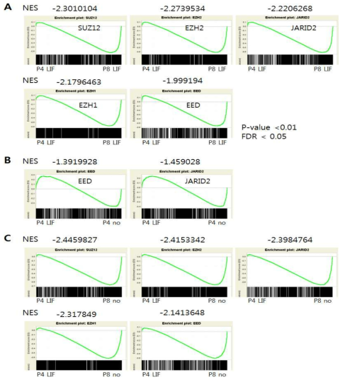 PRC2 타겟 유전자를 이용한 GSEA 분석 결과. 그래프에서 X축의 검은색 라인은 PRC2 타겟 유전자들의 분포를, Y축은 enrichment 정도를 나타냄. Normalized enrichment score (NES)값은 타겟 유전자의 enrichment 정도와 방향을 나타내며, 양의 값은 P4 LIF 조건에서 증가한 유전자의 enrichment, 음의 값은 나머지 조건에서 증가한 유전자의 enrichment 정도를 나타냄. (A) P8 LIF, (B) P4 no, (C) P8 no 조건과의 비교 분석