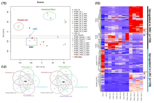 분리 동정한 소장과 대장 성체 줄기세포들의 RNA-seq 결과와 public hub와 비교 분석하여 소장과 대장 줄기세포들에 대하여 각각 특징적으로 가지는 niche 인자를 탐색함. (가) 본 연구에서 생산한 RNA-seq 데이터와 10종의 public data와 비교 후 선별함. (나) 선별한 transcriptome 데이터들에 공통적으로 높게 발현하는 niche 인자들의 교집합. (다) 소장과 대장에 특이적으로 많이 발현하고, 분화 세포들과 전장 세포들에서는 낮게 발현하는 유전자들 집합을 구분함