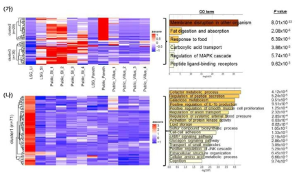 Gene ontology term들에 대한 분석. (가) 소장 성체 줄기세포에 특이적으로 많이 발현하는 유전자 집단에 대한 GO term 분석. (나) 대장 성체 줄기세포에 특이적으로 많이 발현하는 유전자 집단에 대한 GO term