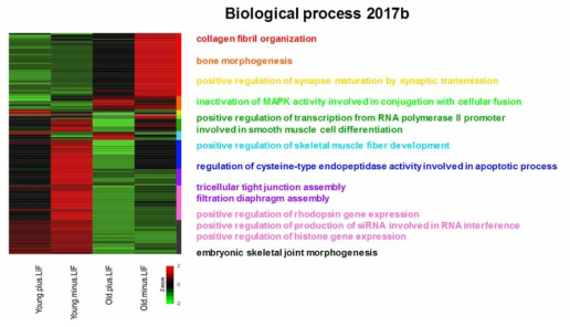 각 니쉬 조건에 따른 differentially expressed genes(DEGs) DEG를 각각의 발현 양상에 따라 10개 군으로 나누었으며, 각 군에 대한 gene ontology(GO) term들이 조사됨