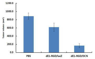DCN 유전자를 발현하는 아데노바이러스에 의한 생체내 항종양 효과 (24일째)