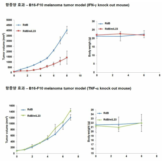 IFN-γ knock out mouse와 TNF-α knock out mouse의 B16F10 흑색종 모델에서 항종양 효과 검증