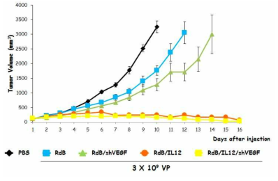 RdB, RdB.IL12, RdB/shVEGF, RdB/IL12/shVEGF 투여 후 유도되는 항종양 효과 결과