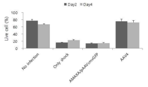 AAV4를 이용한 human NK cell로의 유전자 전달 후 우수한 live cell(%) 확인