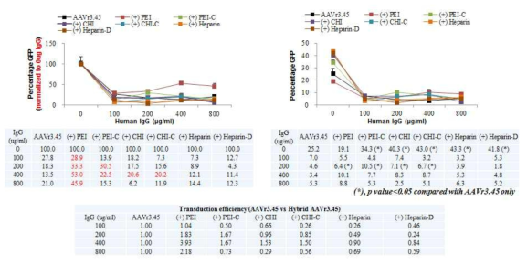 HEK293T cell에서 AAVr3.45와 AAVr3.45 mediated hybrid AAV의 human IgG 처리 이후 hybrid AAVr3.45에서의 유전자 전달 효율 증가 확인