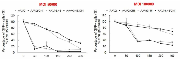 MOI 50000, 100000에서의 AAV2, AAVr3.45와 각각의 chitosan과의 하이브리드의 NAb evading 효과 확인