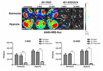 A549-HRE-fluc 세포주에서 DCN을 발현하는 아데노바이러스에 의한 HIF-1α의 발현 억제능을 luciferase 발현 변화를 통해 확인