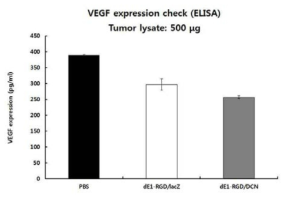 DCN 유전자에 의한 종양조직 내의 VEGF의 변화