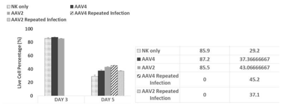 NK cell 의 AAV 와의 상호작용을 통한 live cell percentage 증가 및 repeated infection을 통한 live cell percentage 증가 확인