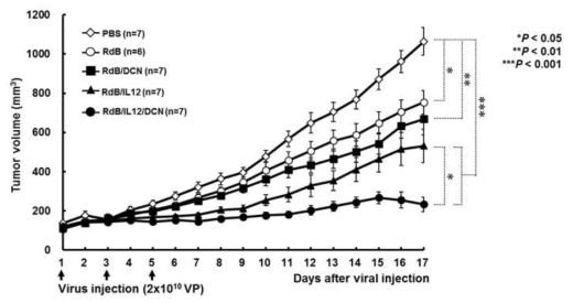 RdB, RdB/IL12, RdB/DCN, RdB/IL12/DCN 투여 후 유도되는 항종양 효과 관찰