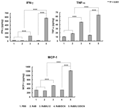 종양 조직 내에서의 IFN-γ, TNF-a, 또는 MCP-1 발현량 확인