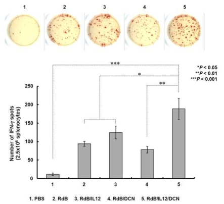 암세포 특이적 IFN-γ 발현하는 면역세포 검증