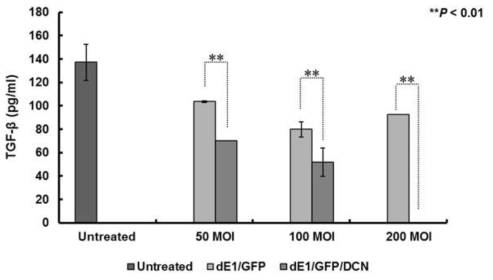 DCN을 발현하는 바이러스에 의한 TGF-b 발현 억제능 확인
