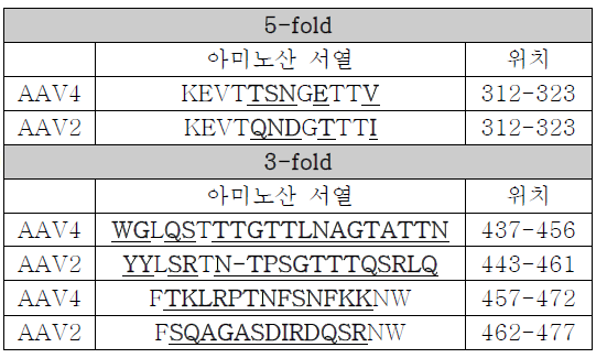 AAV4 와 AAV2 의 돌출부위 서열 비교