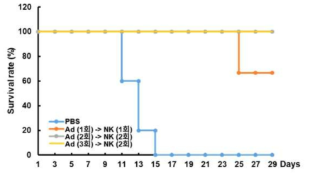 마우스 CT26 종양모델에서의 RdB/IL12/DCN 아데노바이러스와 mouse NK 세포 투여 횟수에 따른 생존율 비교 검증