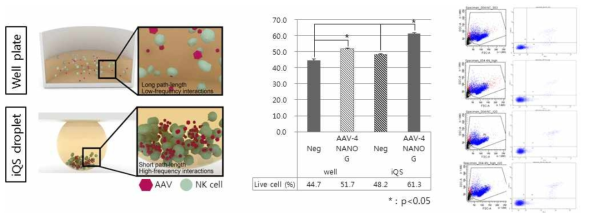 iQS droplet 세포배양 시스템을 통한 NK 세포 활성 증대