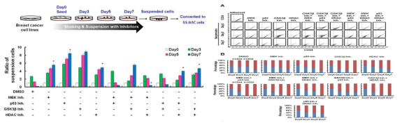 shear stress 기간별 MDA-MB 231 세포 중 부유배양 세포의 비율 분석