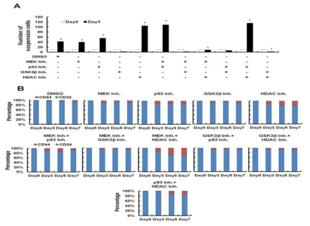 shear stress 기간별 MCF10 세포 중 부유배양 세포의 비율 분석