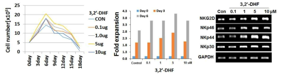 3,2‘-DHF의 NK세포 생존률 향상 효과 검증