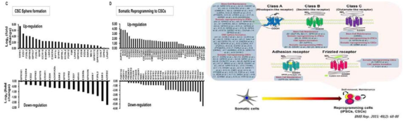 RNA-sequencing 분석 데이터 기반 GPCR family 발현 확인