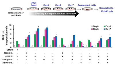 신호전달 저해제에 따른 suspension cell의 생성율 비교