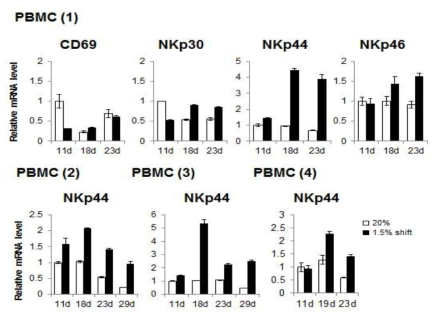 배양조건에 따른 NK 세포의 activating receptor의 mRNA 발현 확인 PBMC (1)-(4)의 11일, 18일, 23일째 배양한 세포의 RNA를 분리하여 CD69, NKp30, NKp44, NKp46에 대하여 qPCR을 수행함