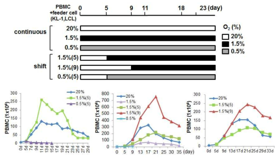 저산소 배양 조건 schrmem과 세포 수 다양한 산소농도 조건에 shift 시간을 달리한 배양조건을 정리한 schem (위)과 조건에 따른 PBMC 세포 수 그래프(아래)