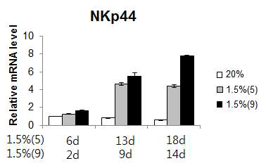 NKp44 mRNA 발현 각 산소조건에서 배양한 11, 18, 23일째의 NK 세포에 서의 NKp44 mRNA를 qPCR로 정량함. 그래프 아래에 저산소 배양조건 세포의 저산소 노출시간을 명시함