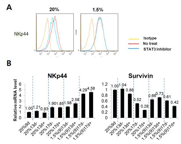 STAT3 억제제에의한 NKp44 발현변화 (A) 그림 B와 같이 배양한 15일째 되는 NK 세포의 세포막에 발현되는 NKp44를 FACS 분석을 통해 확인함. (B) STAT3 억제제에 의한 NKp44와 survivin의 발현변화를 qPCR을 통해 확인함