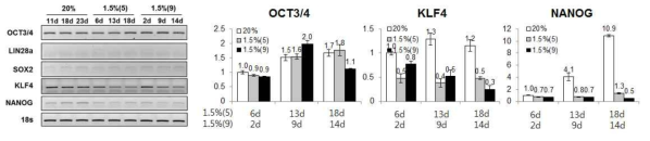 줄기능 관련 유전자 발현 (A) 배양조건에 따른 줄기능관련 유전자 6종에 대해 RT-PCR을 수행함. (B) OCT3/4, KLF4, NANOG에 대한 qPCR 수행함