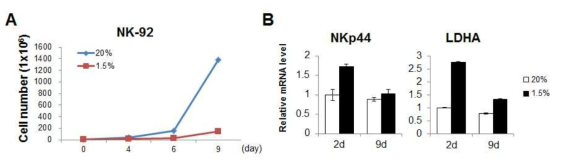 저산소 배양조건에 따른 NK-92 cell의 성장과 유전자 발현변화 (A) 정상산소와 1.5% 저산소 조건에서 배양한 NK-92 cell의 세포 성장 그래프. (B) 각 산소 조건에서 배양한 지 2일, 9일째 되는 날 RNA 샘플을 얻어 NKp44, LDHA mRNA에 대한 qRT-PCR을 수행함