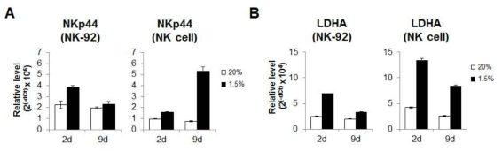 NK-92 cell과 NK cell에서의 유전자 발현 비교 NK-92 cell과 NK cell을 정상산소와 저산소 조건에서 배양한 경우에서의 NKp44 (A)와 LDHA (B) 발현 변화 비교. 각 유전자 발현은 18S rRNA 발현값으로 보정됨
