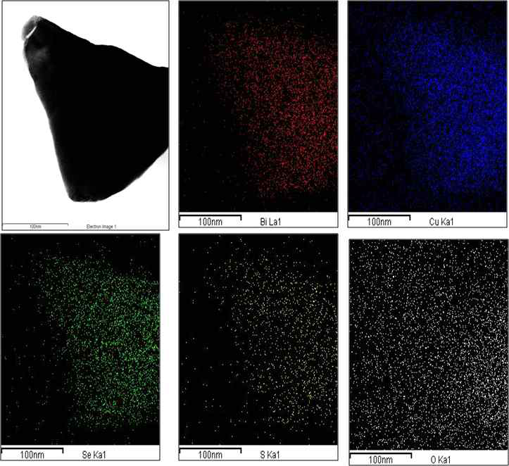 S 치환된 BiOCuSe의 주사투과전자현미경 상과 Bi, O, Cu, Se, S 원소에 대한 EDS mapping