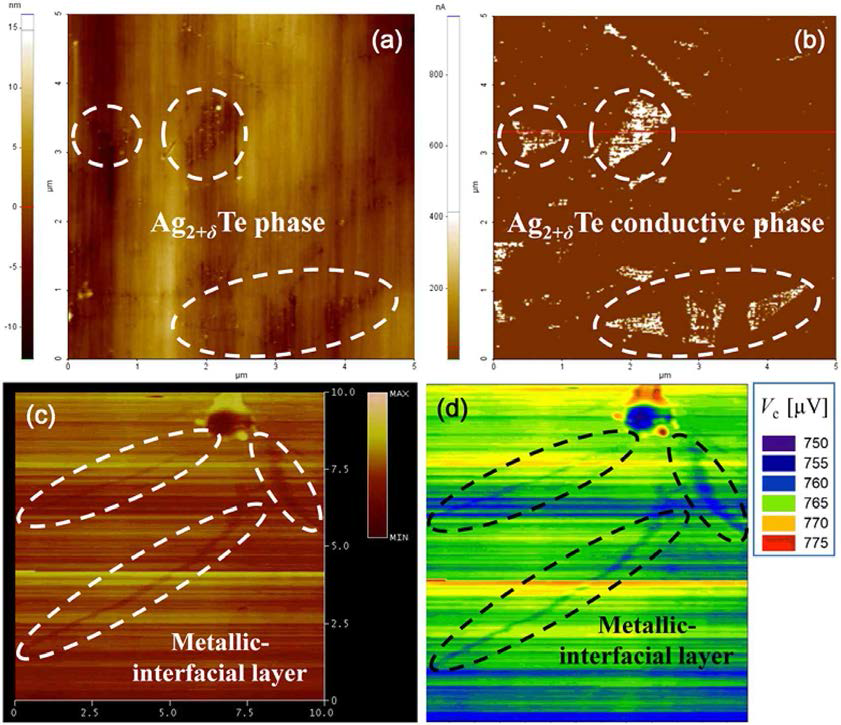 Conducting AFM image, Scanning thermal microscopy, Scanning Seebeck microscopy